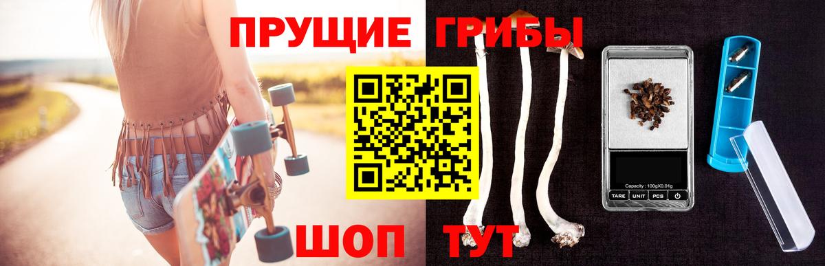 Галлюциногенные грибы Psilocybe Буйнакск